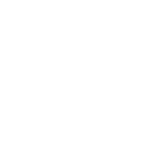 House Icon White